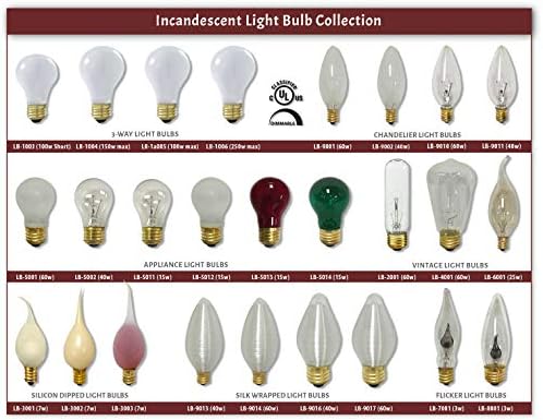 Royal Designs de vidro transparente Estilo tradicional Bulbos incandescentes, base de latão médio e26, 130V, 15 watts, conjunto de 25