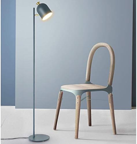 Liruxun Standard Floor Lamp Macaron Creative Lighting Vertical para quarto/sala de estar/estudo