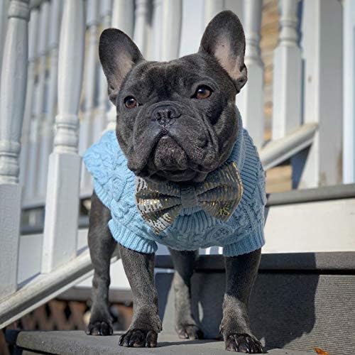 Pet Parisian Pet - Sweater de gola alta para cães - pulôver de malha azul - roupas de cachorro quente - tamanho