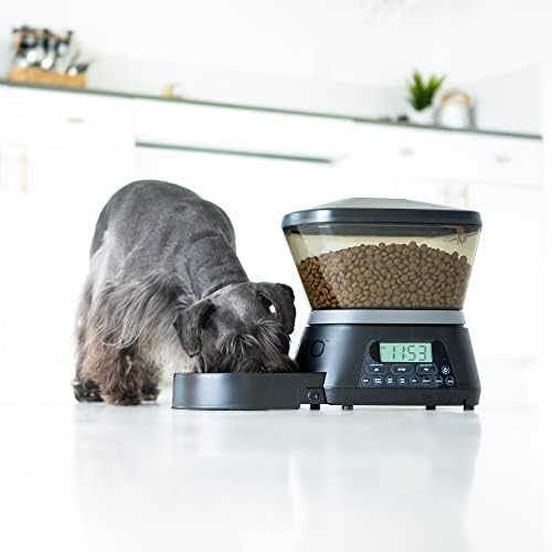 Gamma2 Nano Automatic Dog Feer e alimentador de gatos | 7,5 lb de alimentos de gato ou capacidade de armazenamento de alimentos para cães