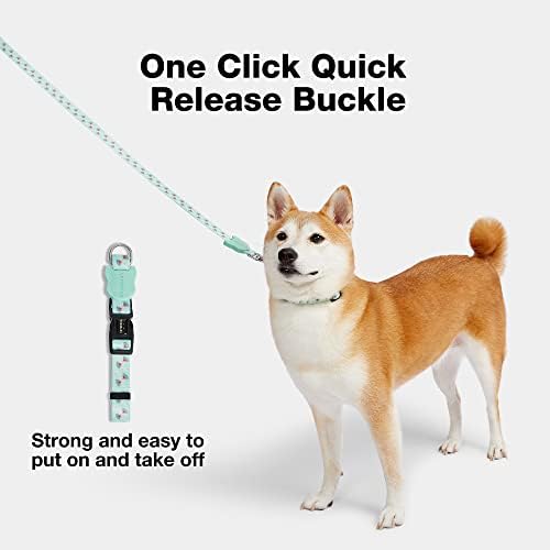 Vetreska Dog Collar and Leash Set para cães pequenos médios grandes, fivela de colar de cães à prova d'água