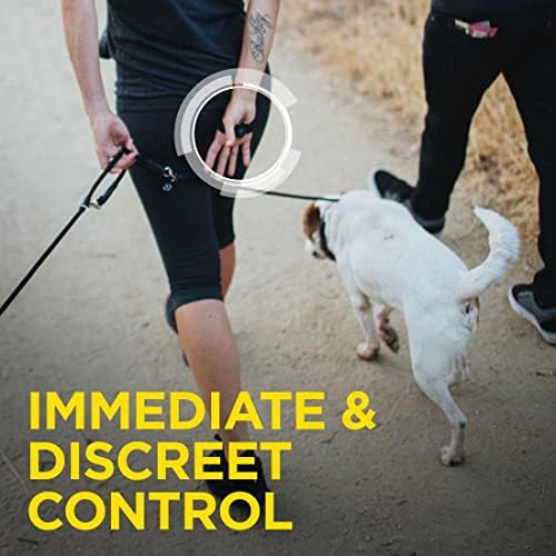 Dogtra Arc HandsFree Plus Treinamento Remoto Cola para Dog - Range de 3/4 milhas, expansível para 2 cães, impermeável, recarregável, 127 níveis de treinamento, vibração de alto desempenho, com PetStek Clicker