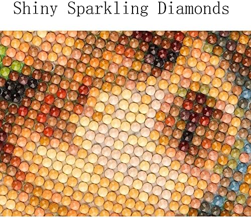Kits de pintura de diamante para adultos para adultos - 5D Diamante de diamante Round Diamond Kits Inspirational Diamond Points com diamantes Gem Art Crafts Decoração de casa 12 * 16 polegadas