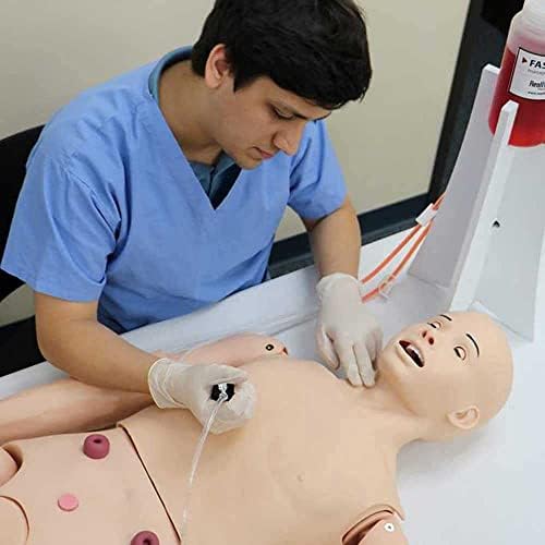 ZQHJ Atenção do paciente Manikin com genitais intercambiáveis ​​e módulos Bedsore Treinando simulador