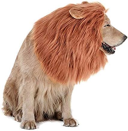 Traje de cachorro em casa Lulu, juba de leão ajustável e realista para fantasias de Halloween para