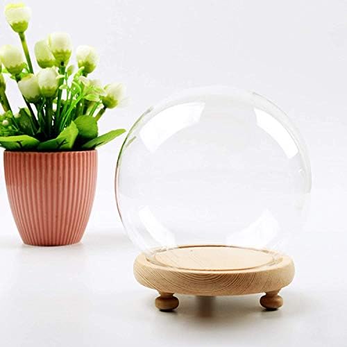Orqihod redondo de vidro redondo cloche bola jar cúpula de mesa de mesa com diâmetro base de madeira 4,7 polegadas