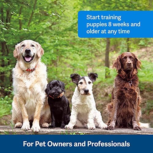 PetSafe Clik -R Dog Training Clicker - Reforcedor de comportamento positivo para animais de estimação - todas as idades, cachorros e cães adultos - Use para recompensar e treinar - Guia de treinamento incluído - Teal