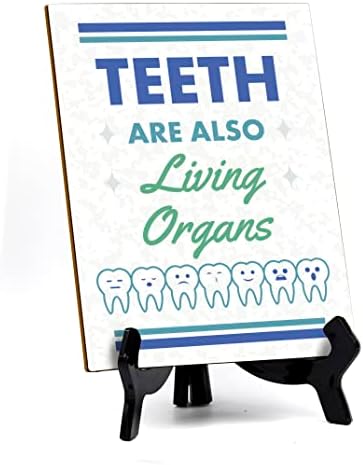 Sinais de dentes Bylita também são decoração de escritório odontológica dos órgãos vivos, sinal de mesa com suporte