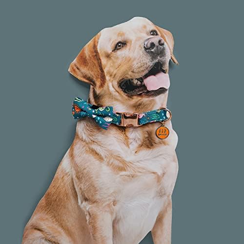 Midepet Halloween Dog Collar, colarinho de cachorro com gravata borbole